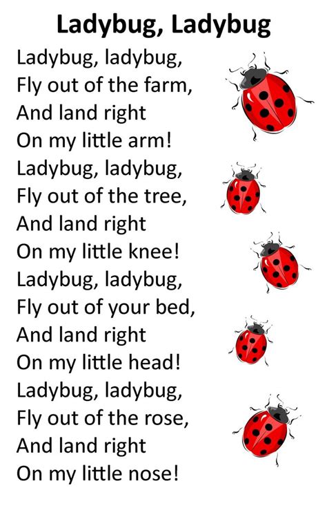 Itty Bitty AlphaTykes Rhyme: Ladybug, Ladybug | How Do It Info