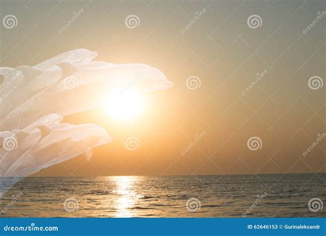 Dolphins Silhouettes Stock Photos - Download 11 Royalty Free Photos