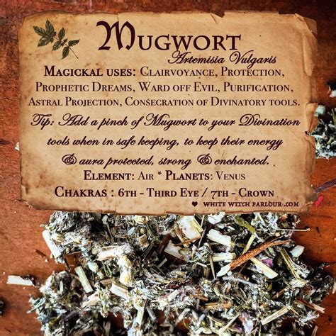 MUGWORT APOTHECARY. Dried Herbs. For Clairvoyance, Protection & Consec ...