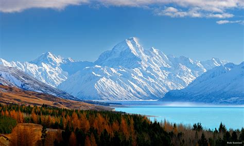 10 Must-See Spots For Nature Lovers in New Zealand — Traverse Journeys ...