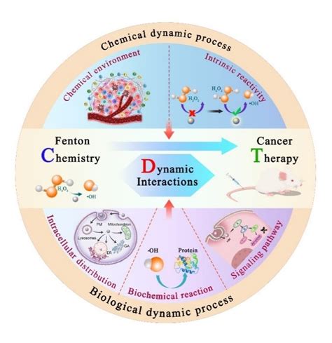 A Forward Vision for Chemodynamic Therapy: Issues and Opportunities