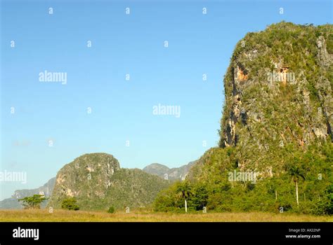 Mogotes, karst rock formations near Vinales, Cuba, Caribbean, Americas Stock Photo - Alamy