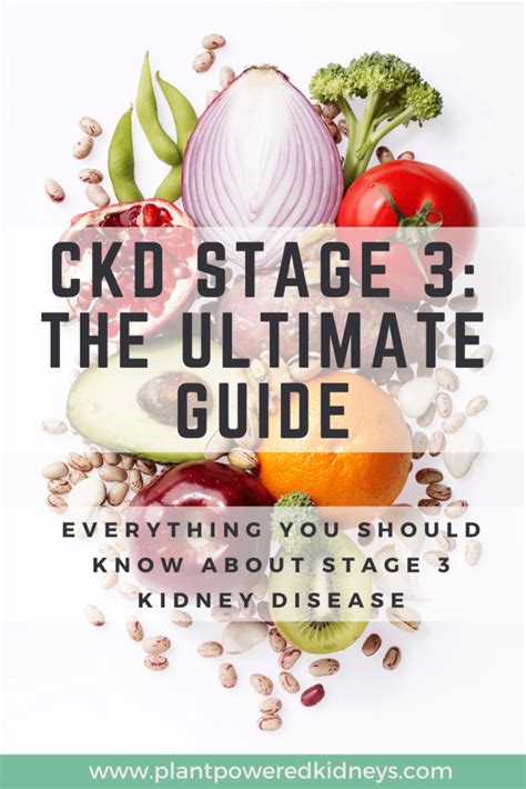 Stage 3 Kidney Disease: The Ultimate Guide to a Healthy Diet