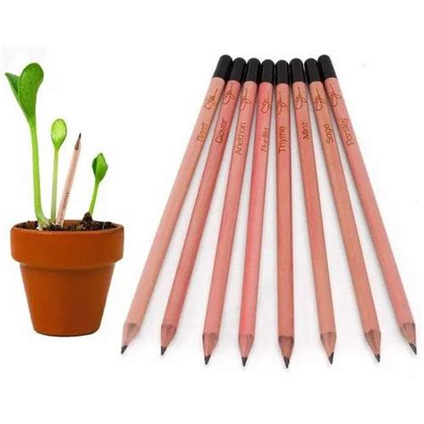 Ecolabel Black Plantable Seed Pencils, 10 Pencil at ₹ 12/piece in Chennai