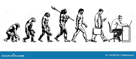 Clipart Evolution Of Man Timeline