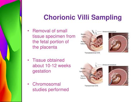 PPT - Assessment of Fetal Well-Being PowerPoint Presentation - ID:330673