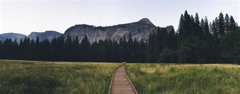 how to earn a Junior Ranger badge at Yosemite National Park - Kimberly Michelle