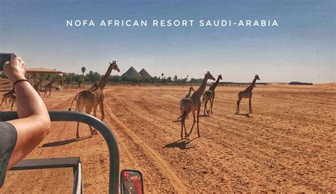 Nofa African Resort Safari And Wildlife Center Riyadh | blueabaya.com