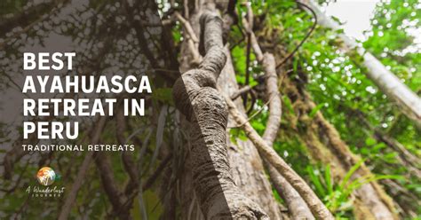 Best Ayahuasca Retreat in Peru: Traditional Retreats - Sandra Campillo