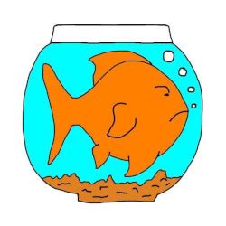 Do Goldfish Need a Big Tank? Why Goldfish Tank Size Matters!