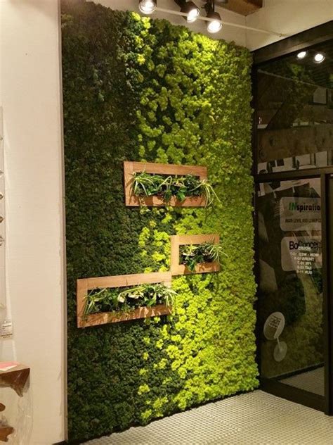 20 Fresh And Natural Moss Wall Art Decorations | HomeMydesign