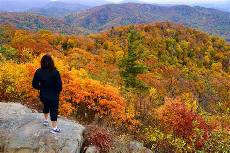 Vote - Shenandoah Valley - Best Destination for Fall Foliage Nominee ...