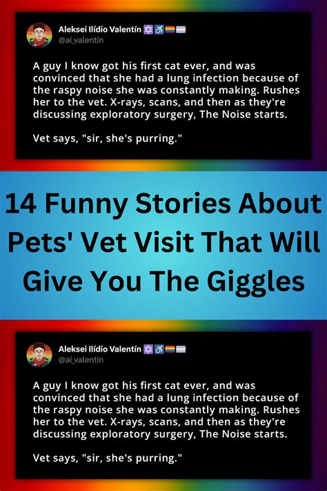 14 funny stories about pets vet visit that will give you the giggles ...