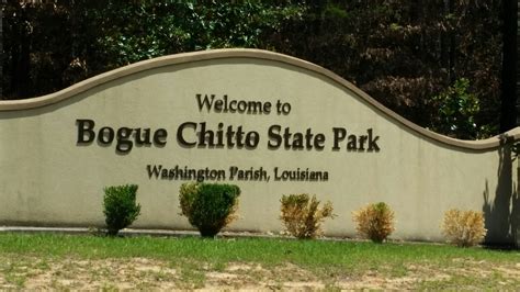 Bogue Chitto | The Dyrt