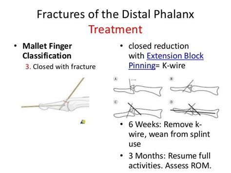 Distal phalanx fracture