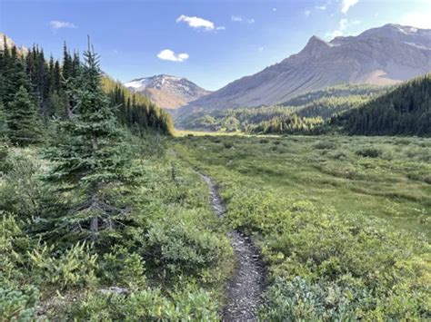 Best Beach Trails in Peter Lougheed Provincial Park | AllTrails