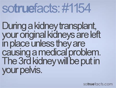 Funny Kidney Quotes. QuotesGram