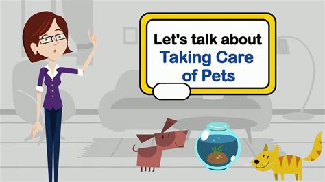 Let's Talk About Taking Care of Pets - HiPet Store