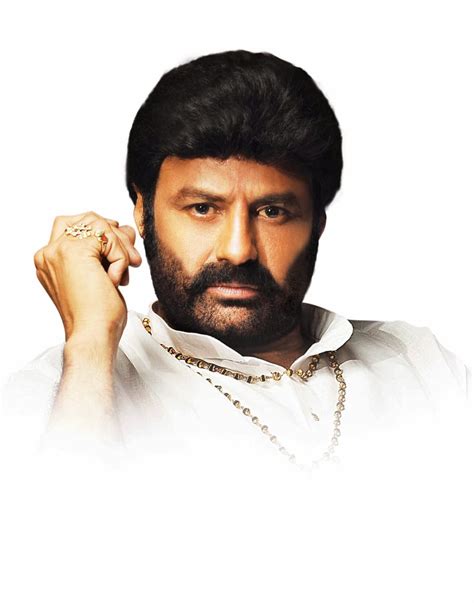 Balakrishna's Legend Movie New Posters - Hot Photos in Saree