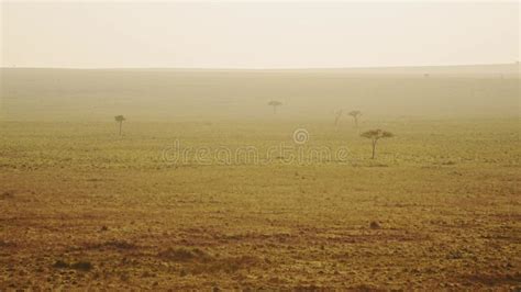 Aerial Shot of African Landscape in Maasai Mara National Reserve from Hot Air Balloon Ride ...