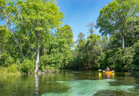 Things to Do in Lake City, FL