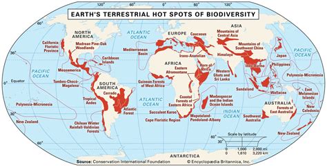 Biodiversity Loss Map