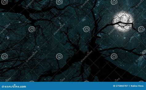 Night Sky in the Forest with Stars and Moon Stock Image - Image of ...