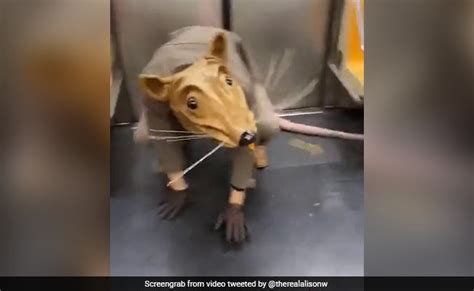 Man In Giant Rat Costume Rides NYC Subway. Bizarre Video Is Viral