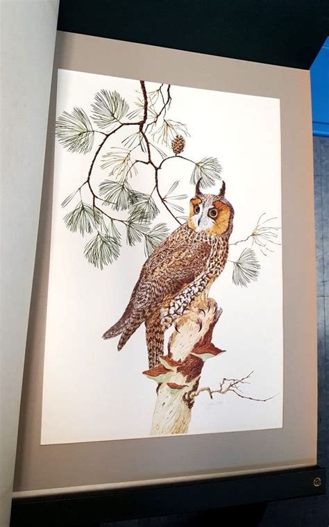 Robin Hill Naturalist Artist Large Portfolio of Five Bird Prints Signed ...