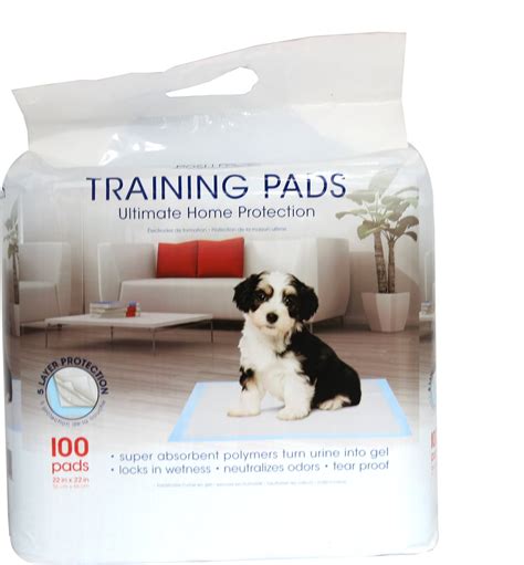 POSH PAWS Dog Training Pads, 100 count, White - Chewy.com