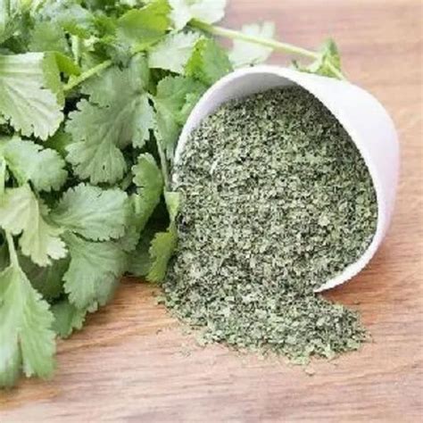 Dried Dry Green Coriander Leaves at Rs 68/kg in Nawada | ID: 25412148848