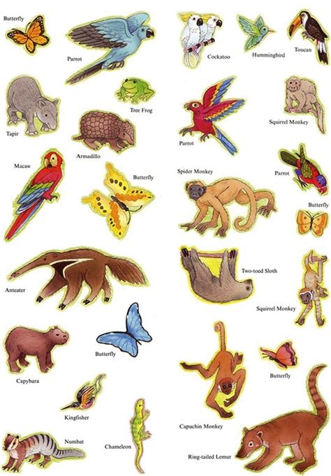 Flying animals clipart 20 free Cliparts | Download images on Clipground 2024