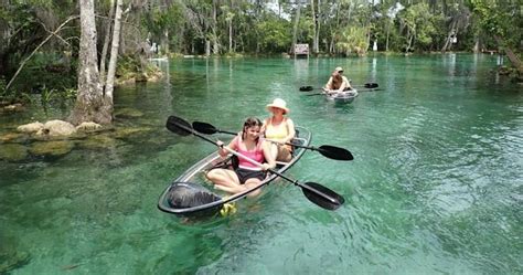 All Clear Kayak Manatee Viewing Tour | Crystal River Water Bikes