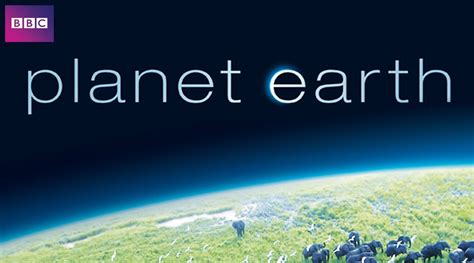 50 Best Documentaries on Netflix: Planet Earth