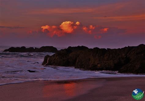 Montezuma Costa Rica is a beach town in Nicoya Peninsula