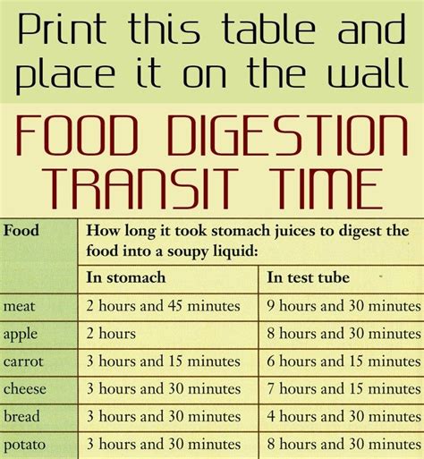 Print this table and place it on the wall! Food digestion transit time - JustBeautyTips.net ...