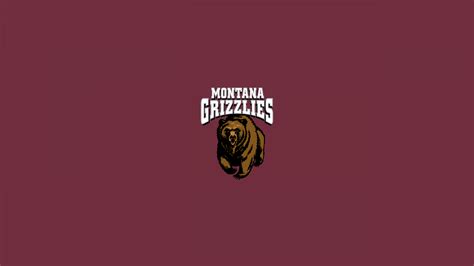 Montana Grizzlies Basketball - NCAAB - Square Bettor