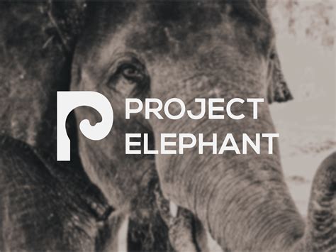 PROJECT ELEPHANT by designbyhelios on Dribbble