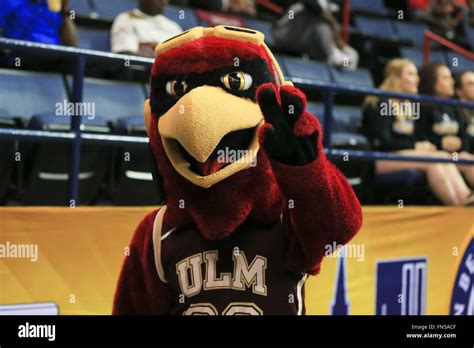 New Orleans, Louisiana, USA. 13th Mar, 2016. The ULM Warhawk mascot ...