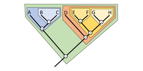 2.4 Phylogenetic Trees and Classification | Digital Atlas of Ancient Life