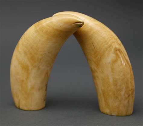 Whale Teeth - Pair of Whaleman Scrimshaw Sperm Whale Teeth - Rafael Osona Auctions Nantucket, MA