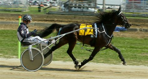 Harness Racing Horse - Saturday, August 31, 2013 in Burton, Ohio