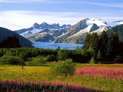 Alaska-USA - Travel Guide | travel-world