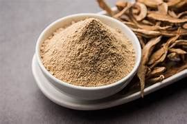 Benefits of Amchur Powder – Singal's