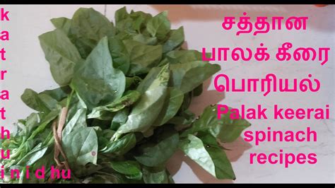 'கம கம சமையல்' சத்தான பாலக் கீரை பொரியல்/Palak keerai /spinach recipes/keerai vagaigal /கீரை ...