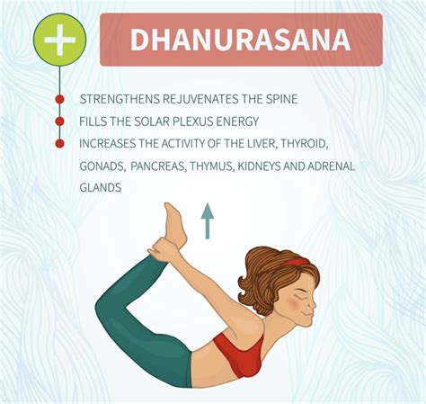 Dhanurasana Steps and Benefits - Healthy Huemans