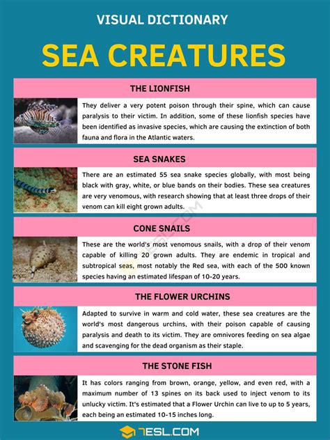 List of Sea Creatures with Facts and Pictures • 7ESL