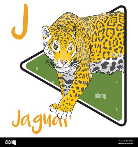 Jaguar swimming Cut Out Stock Images & Pictures - Alamy