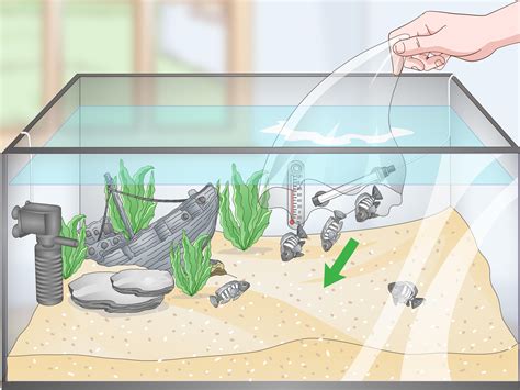 How to Set up a Tropical Freshwater Aquarium (with Pictures)