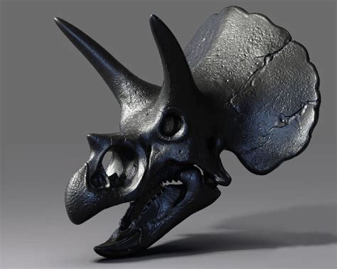 Triceratops Skull 3D Model STL File for 3D Printers Print - Etsy